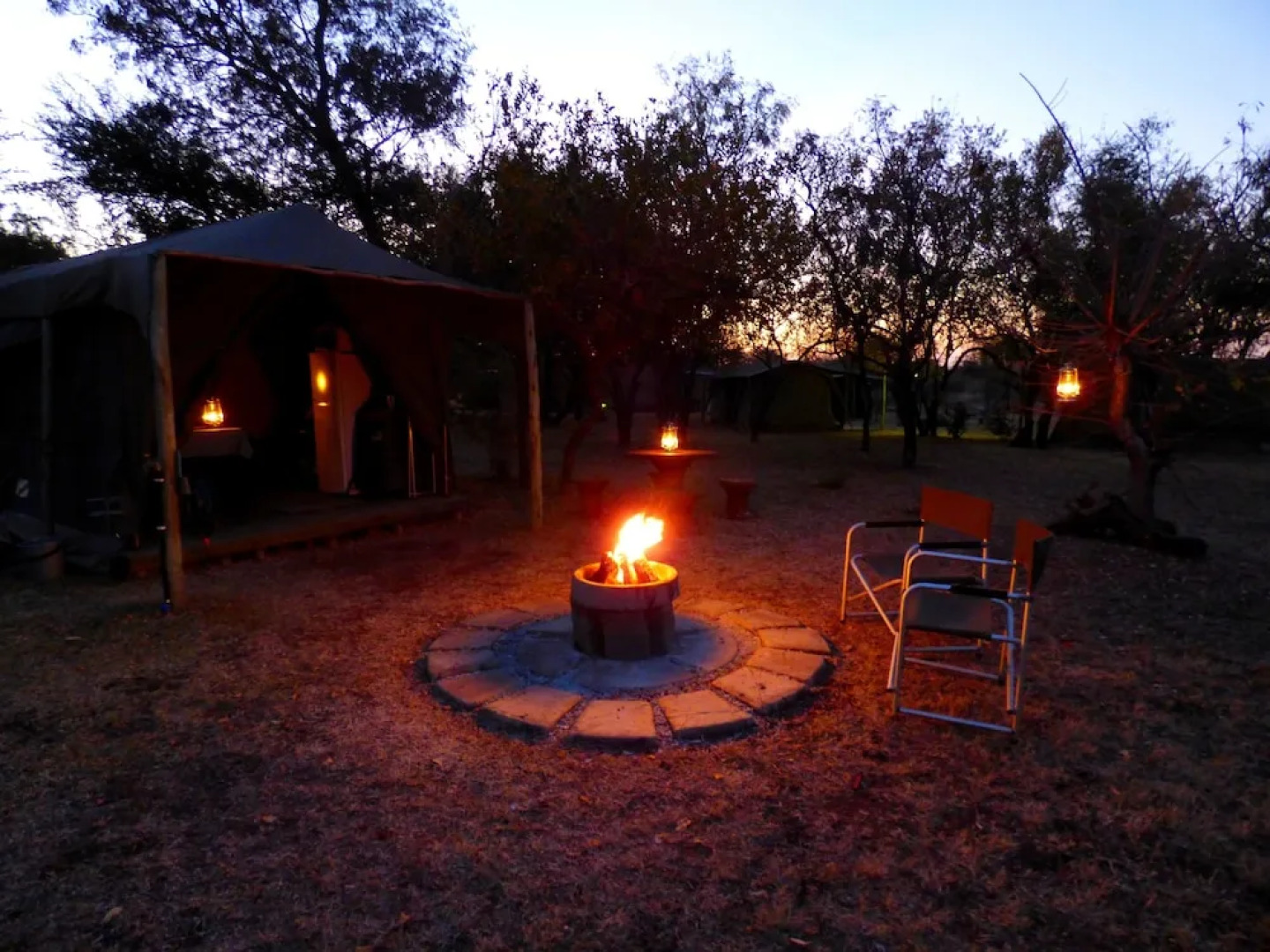 Thorn Tree Bush Camp