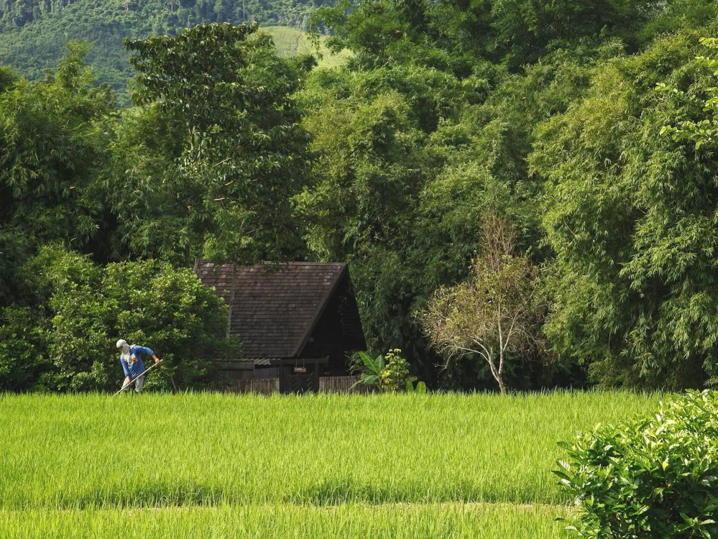 Rai Saeng Arun Resort