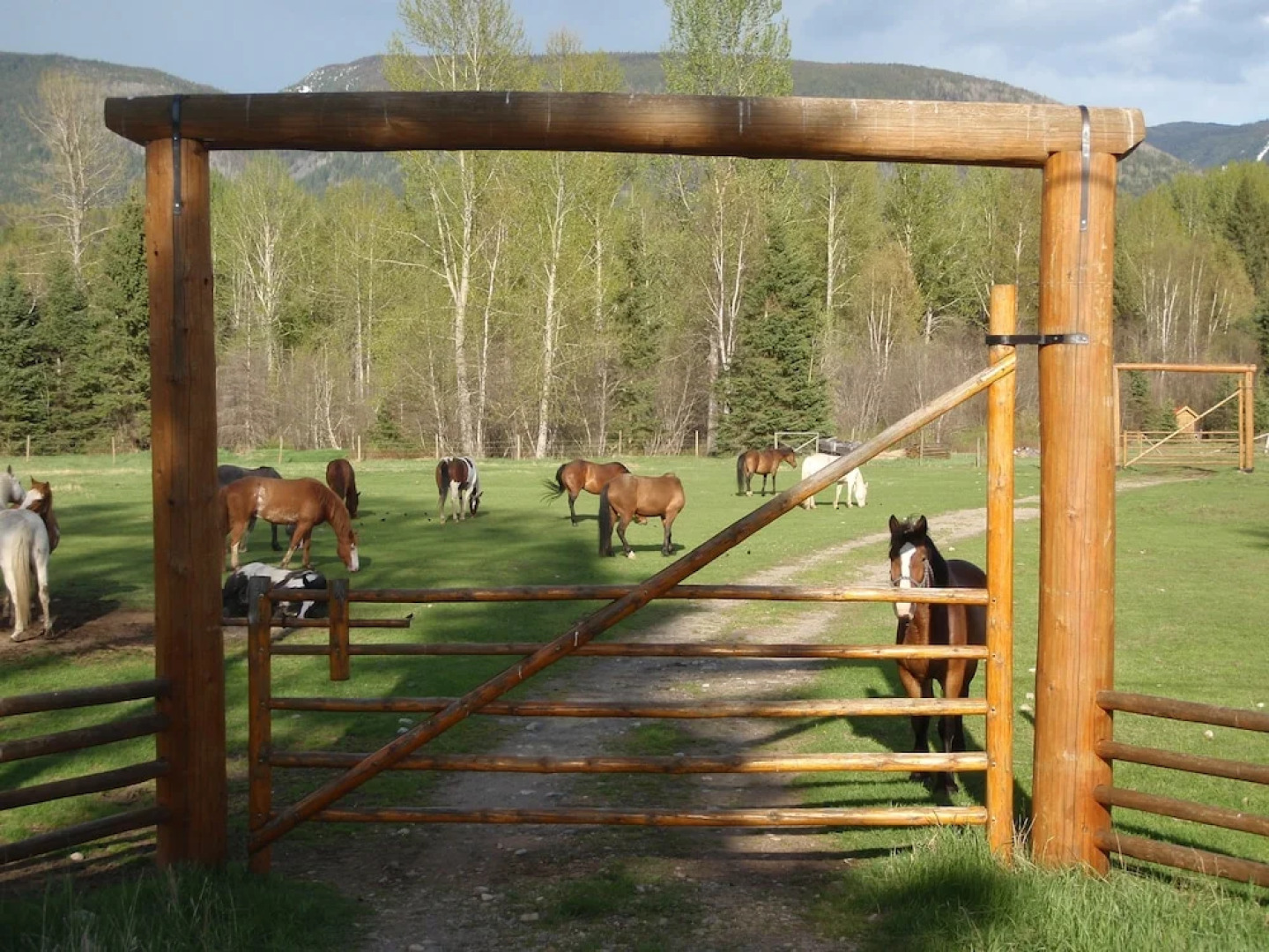 Fort Wells Gray Rustic Cabins Hostel