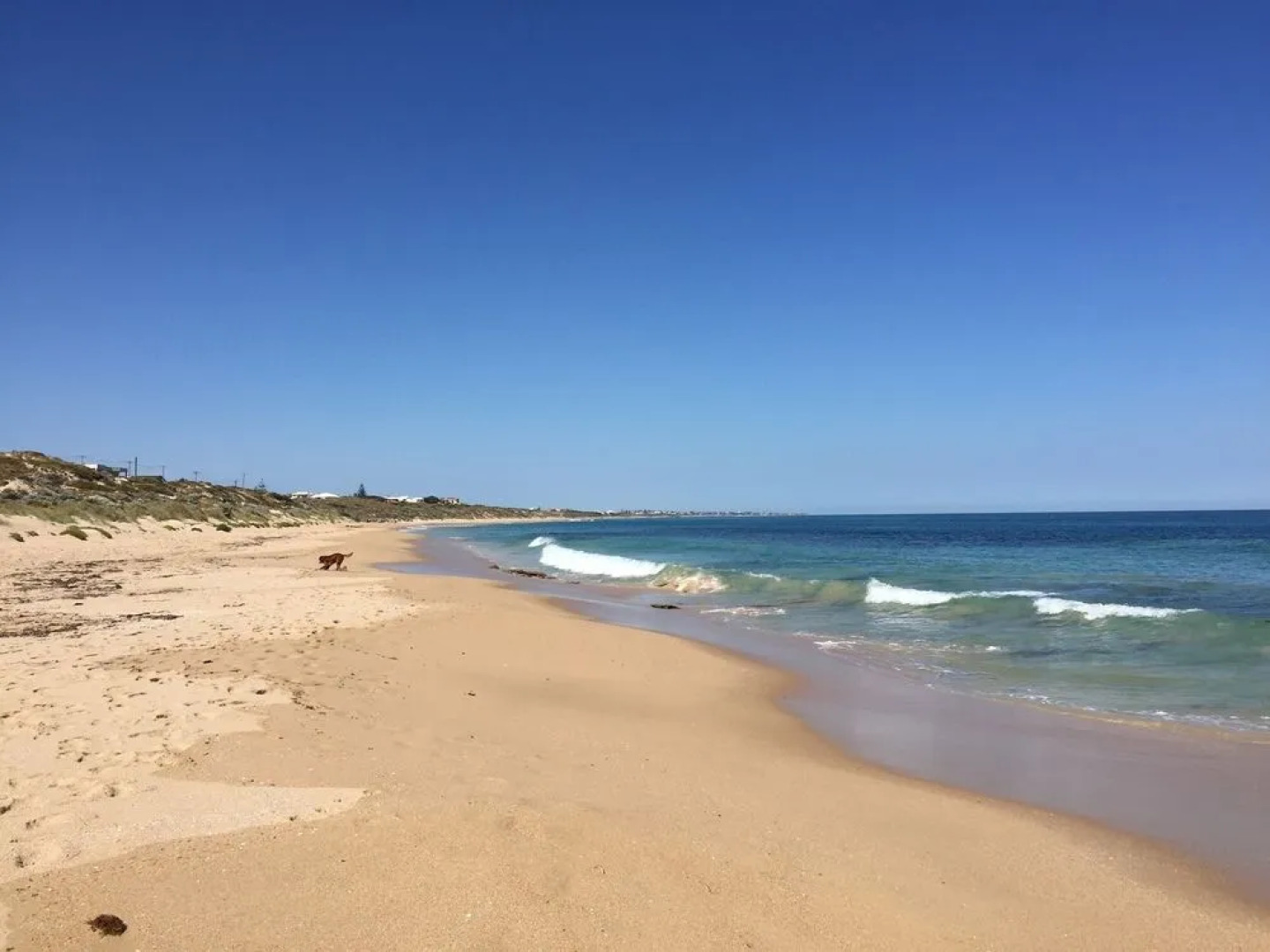 Beach Front The Wedge - Adults Only