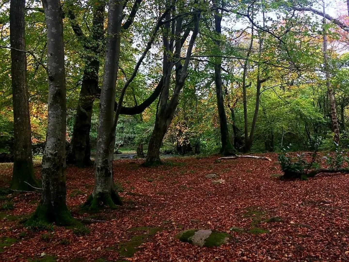 89 Lower Lakeside - Glan Gwna Holiday Park