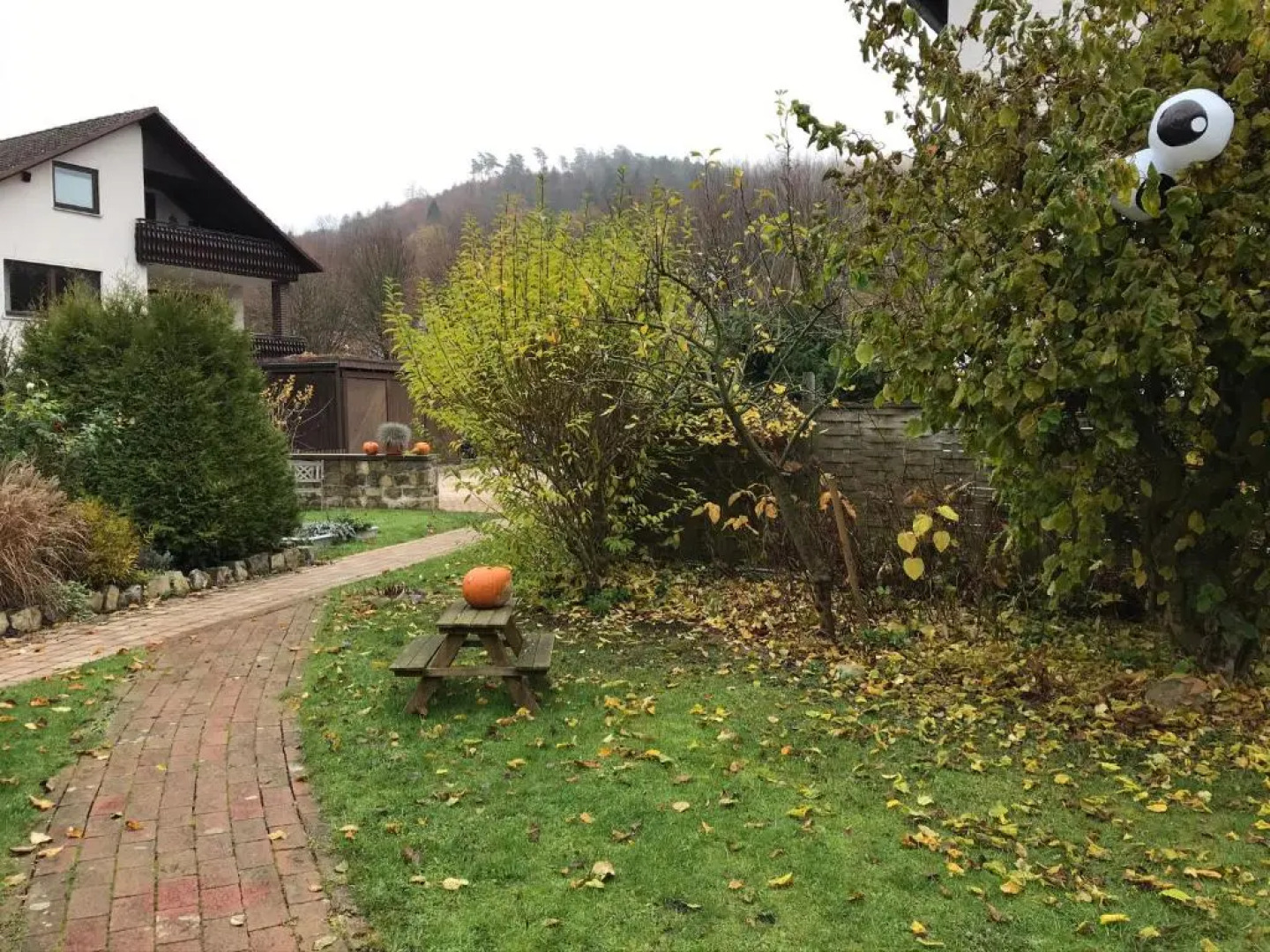 Ferienwohnung Holland 5a