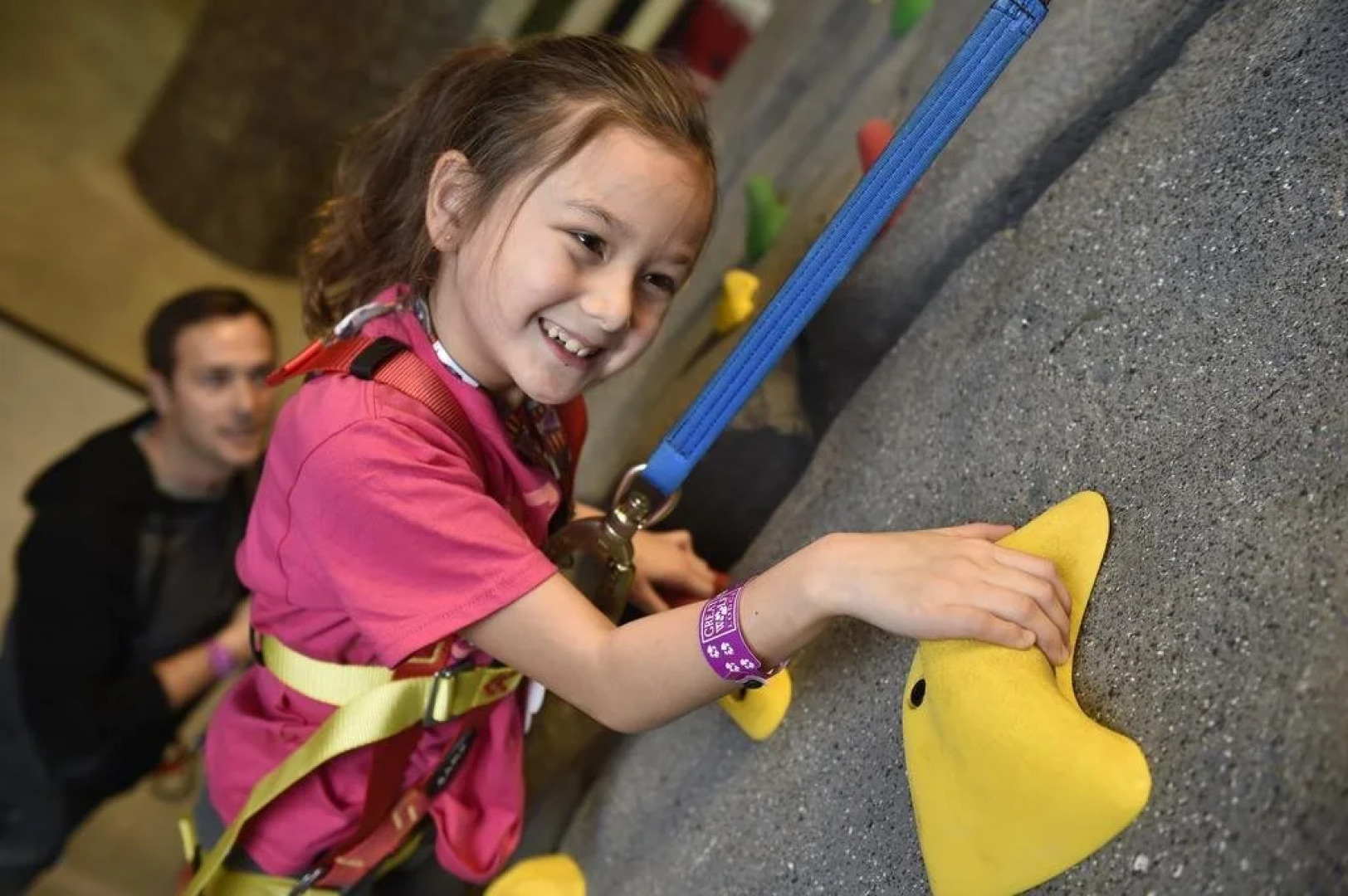 Отель Great Wolf Lodge Bloomington