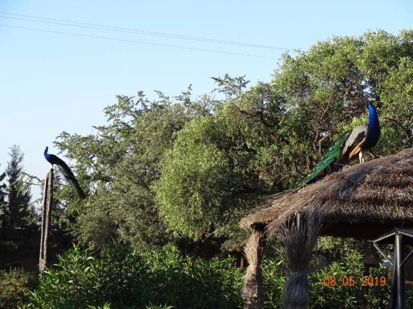 Riad les trois merveilles