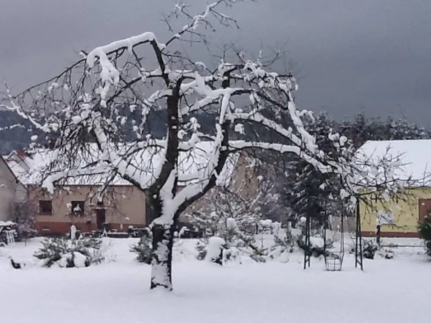 House With 2 Bedrooms in Haspelschiedt, With Enclosed Garden and Wifi