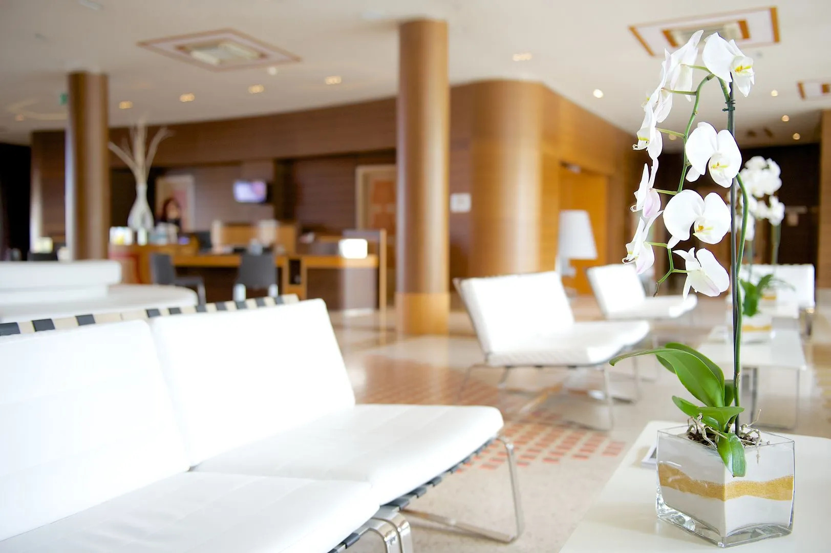 Ethra Reserve - Kalidria