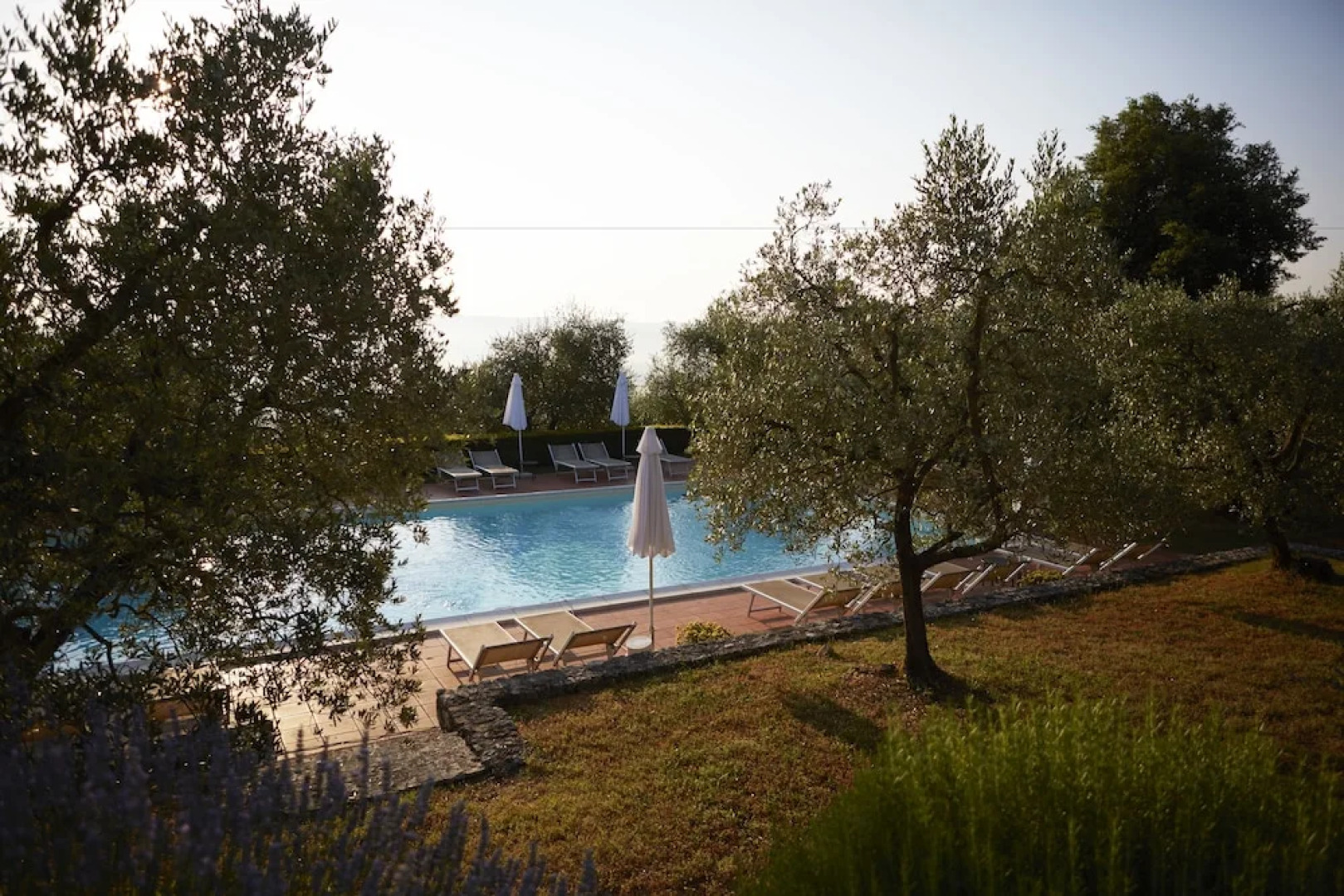 Azienda Agricola Montestigliano