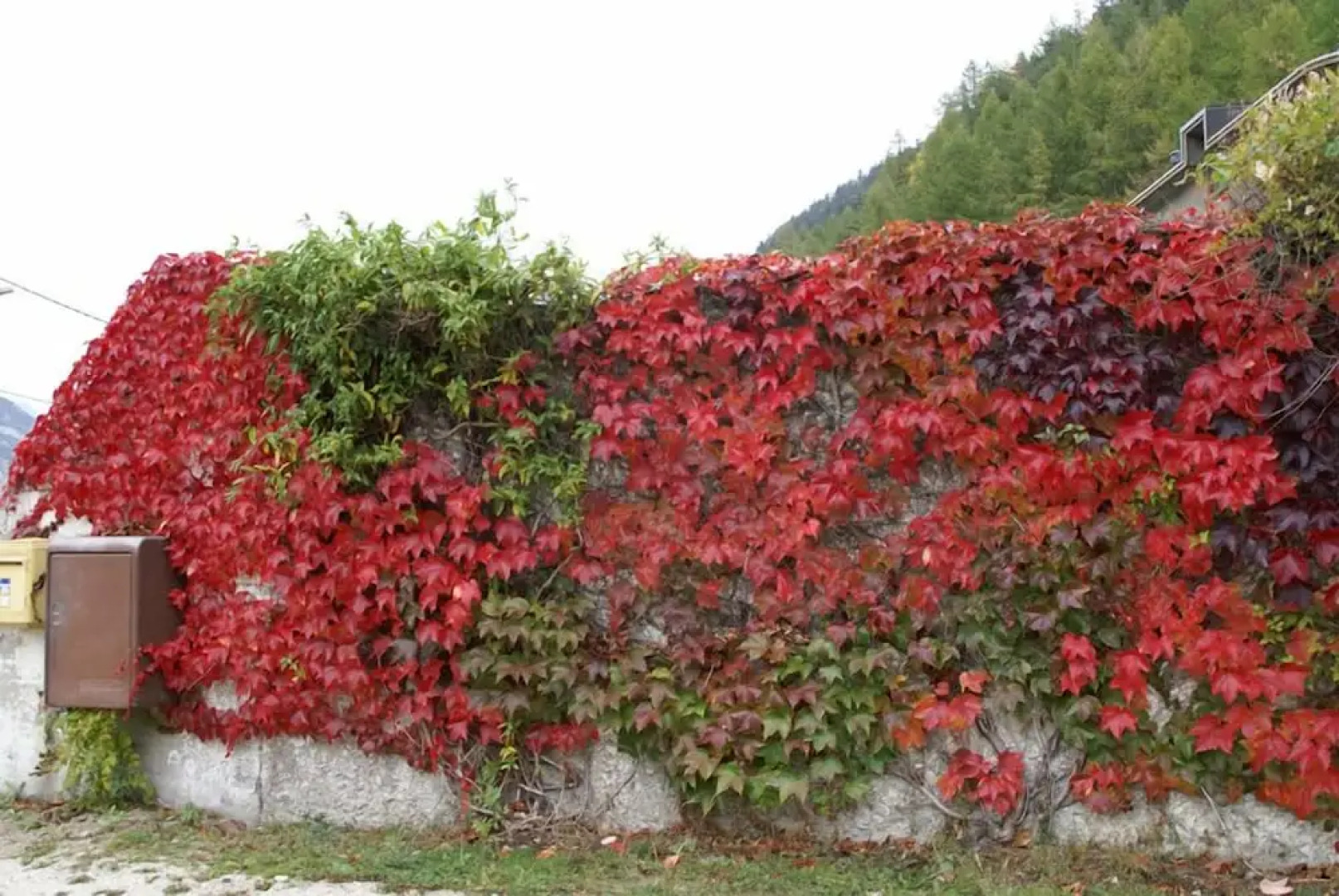 Résidence Le Bellevue