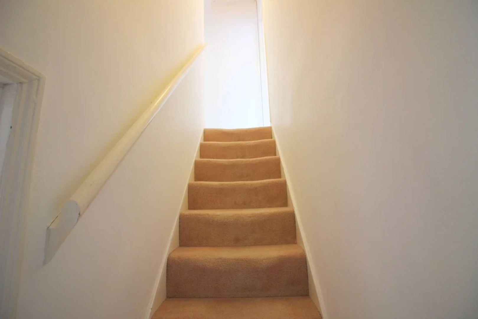 The Great Observatory (Peymans)