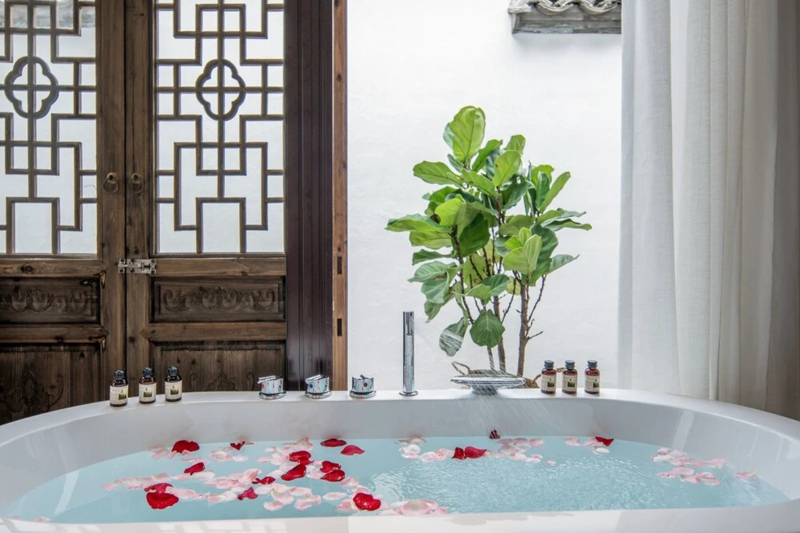 Shilily Qingmeixueshe