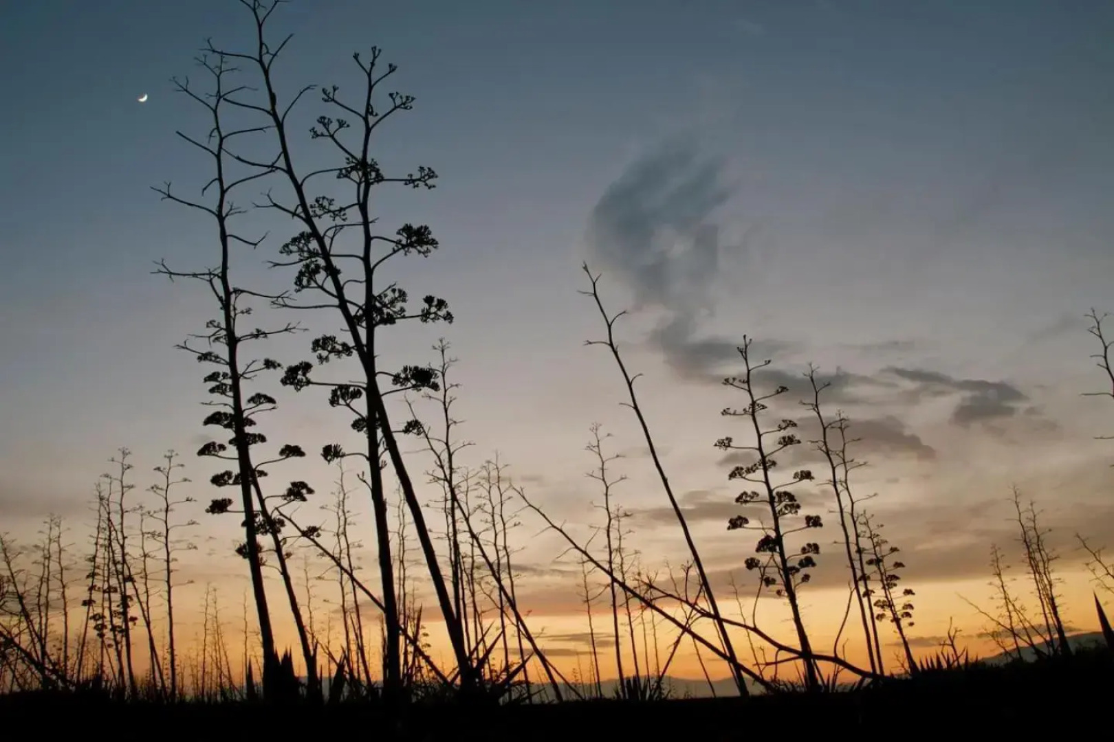 Nuestra casita en CABO DE GATA