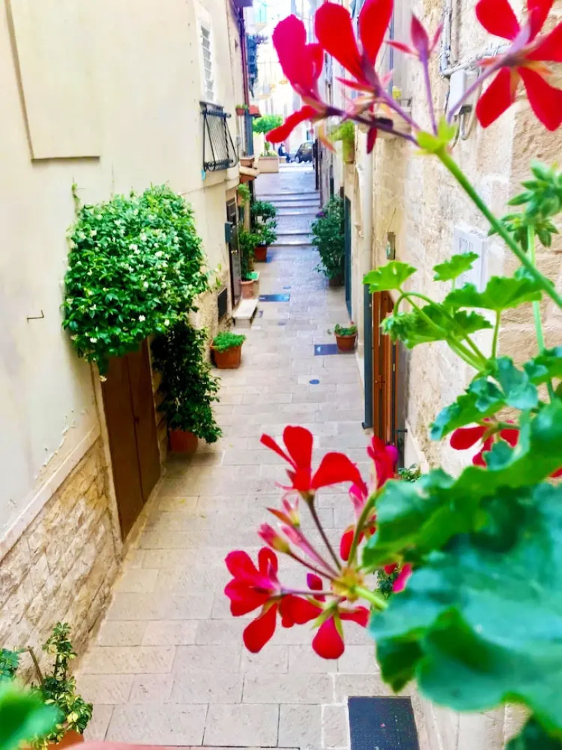 Francis' Guest House