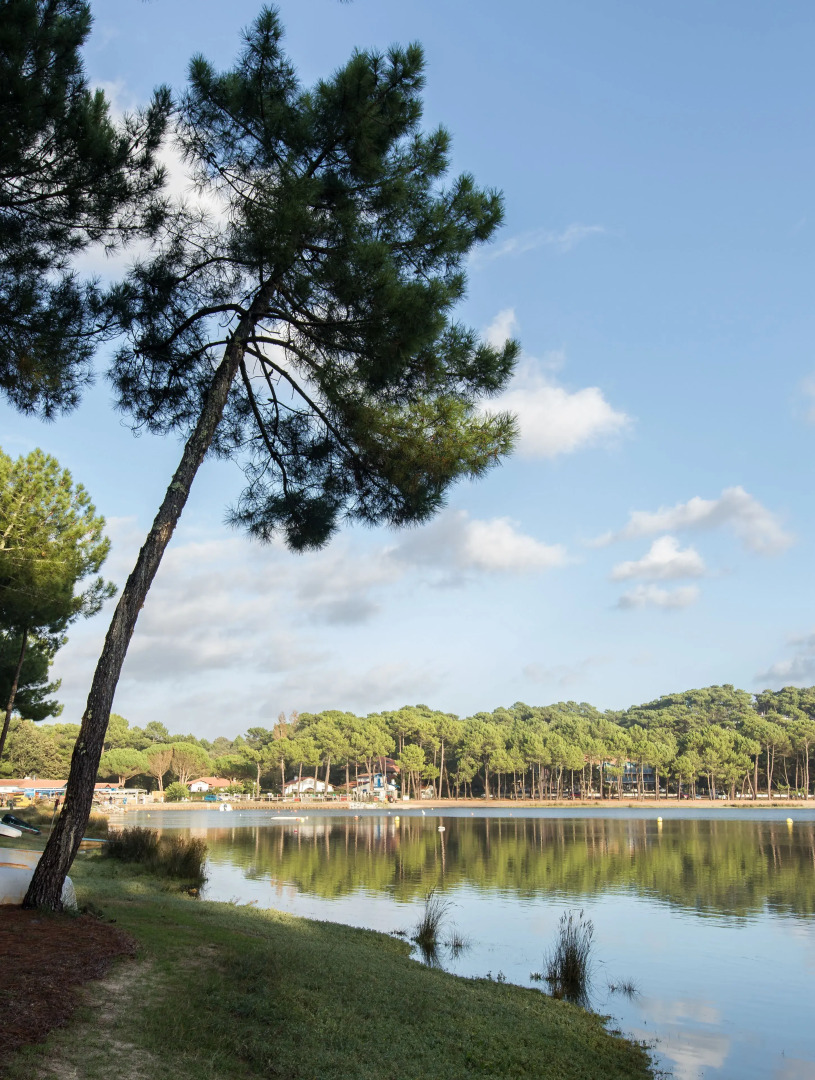 Résidence Hôtelière les Acanthes