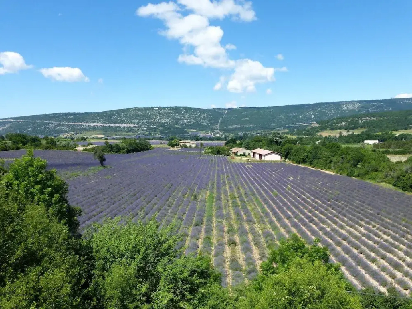 Cottage in Luberon Near Apt Market