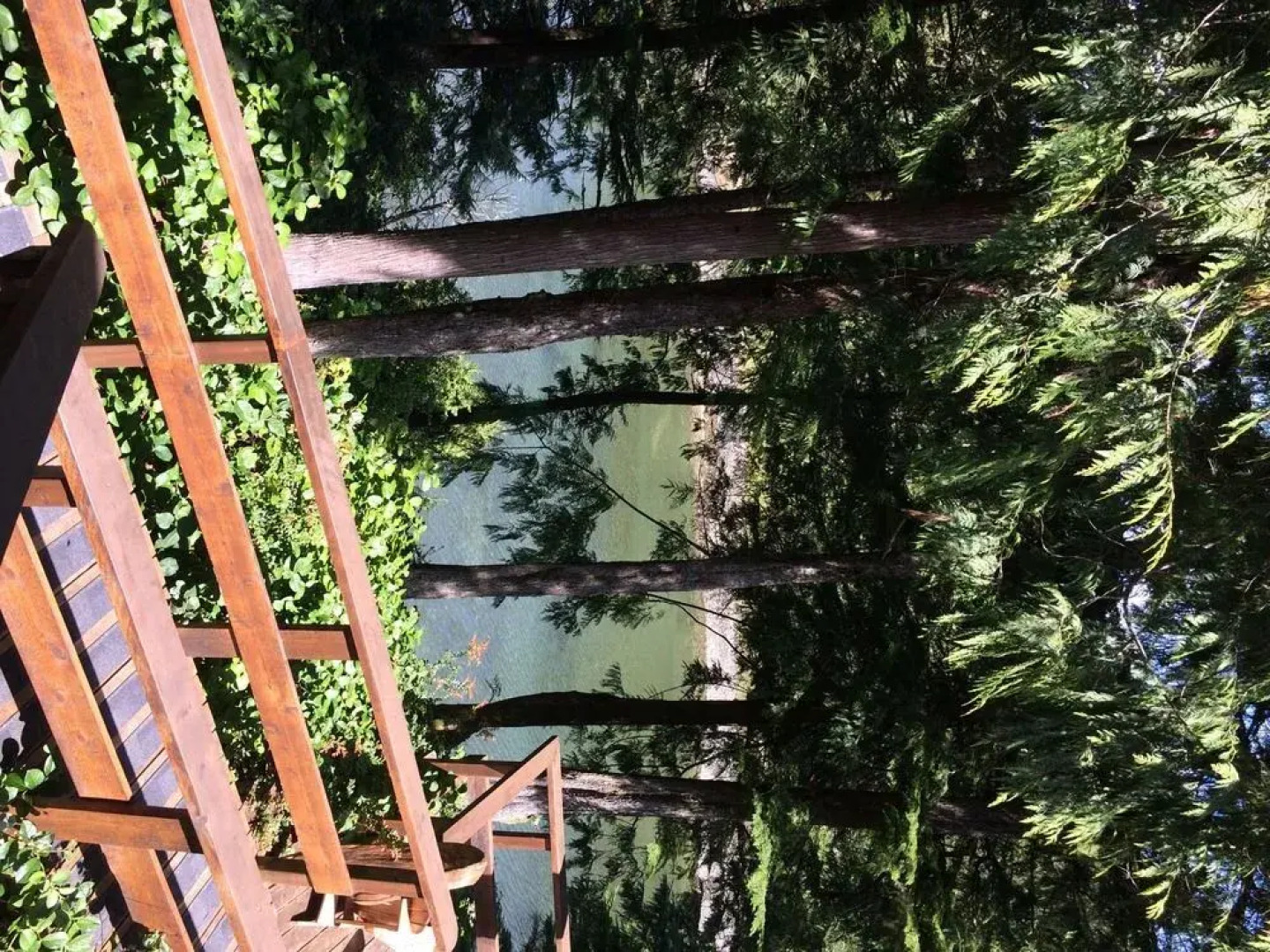 Wild Pacific Waterfront Cabins