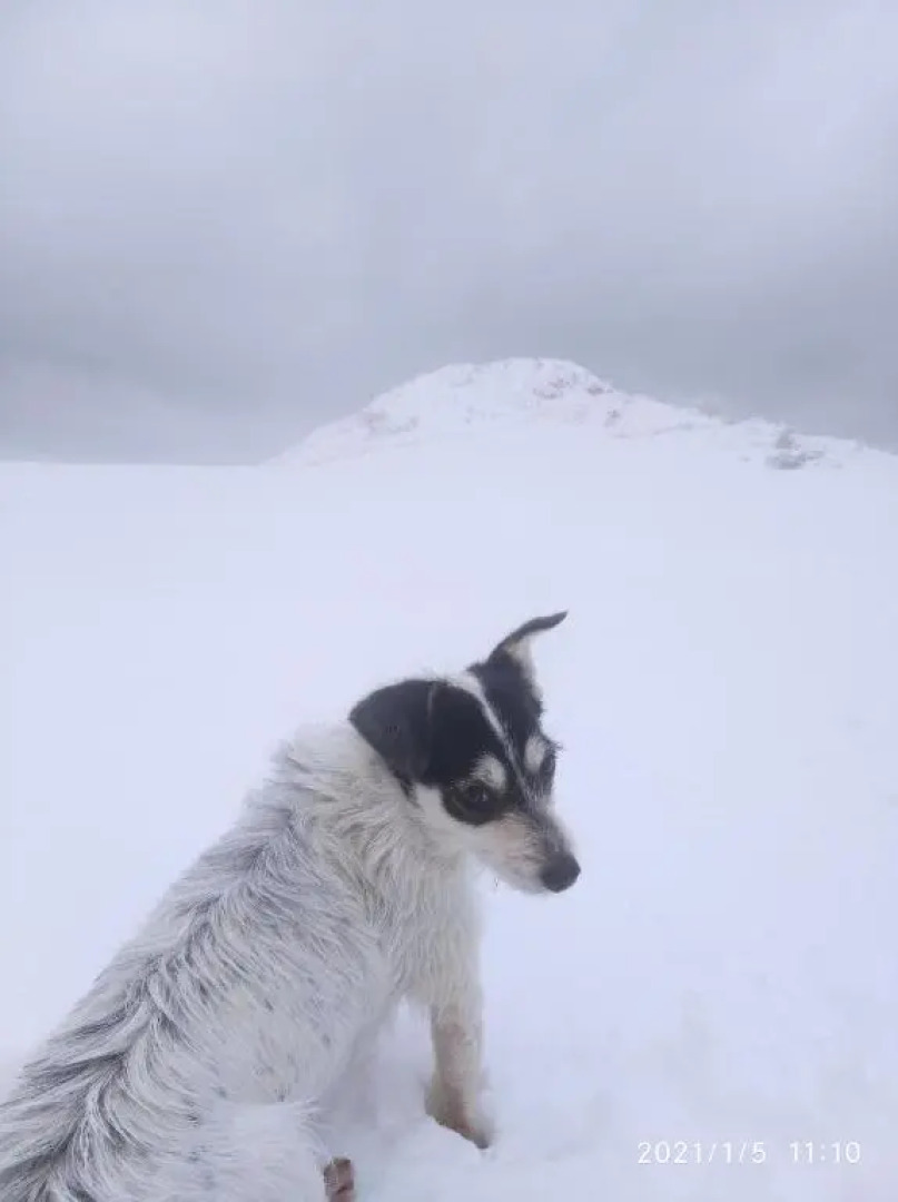 CHILL & ZEN - Caserío Itxaiz -