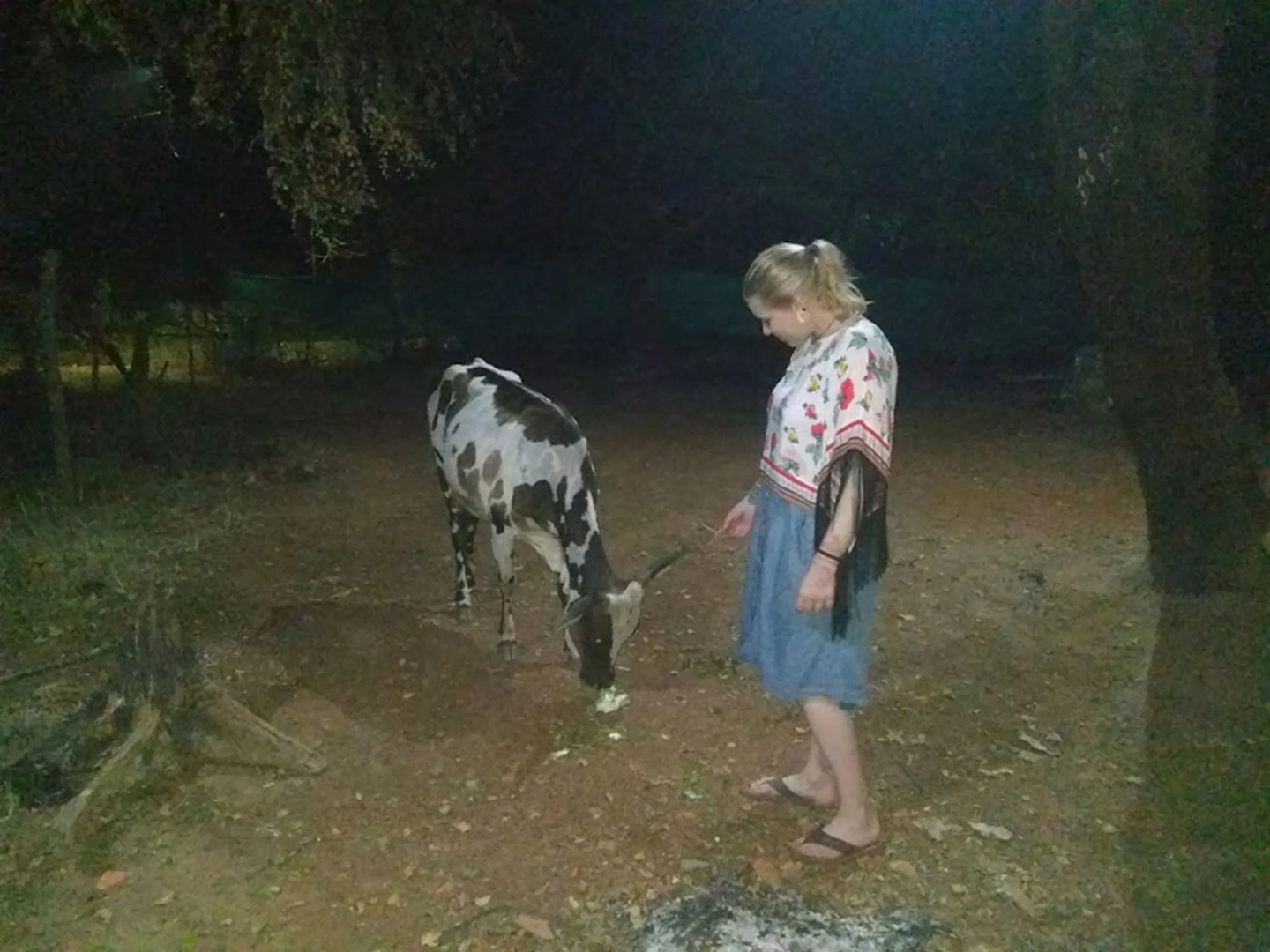 The Nest by Hostelogy