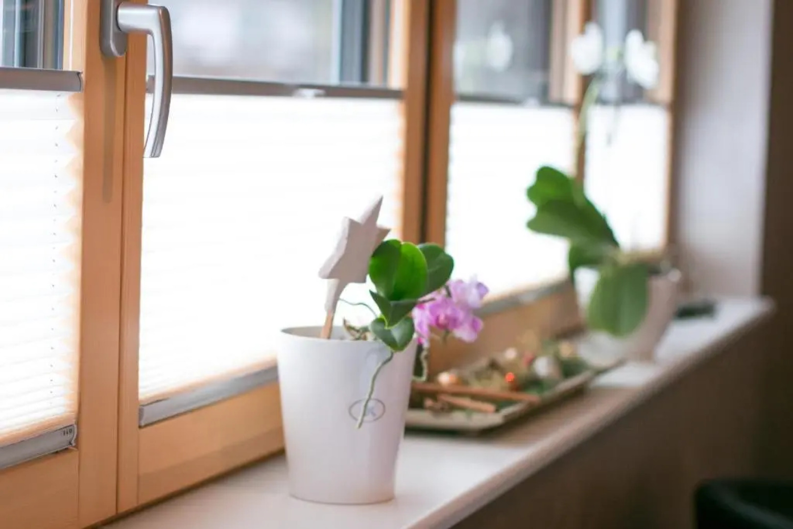 Ferienwohnungen Talblick