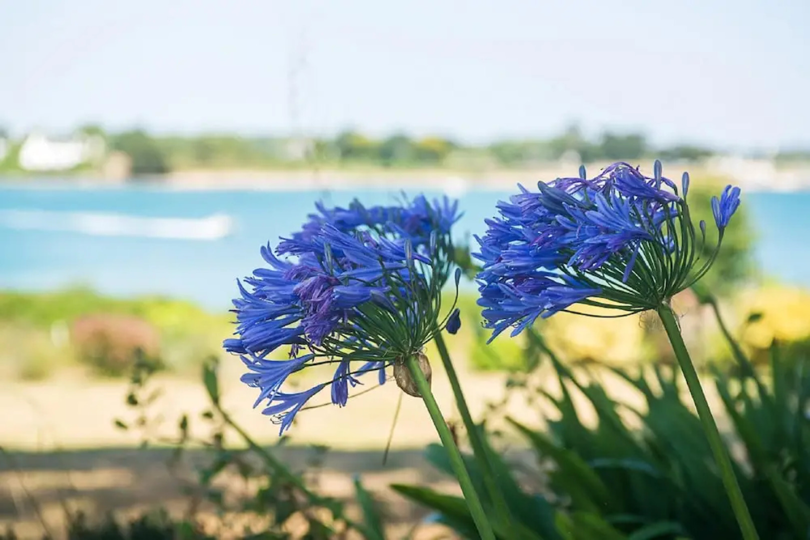 House With 6 Bedrooms in Saint Philibert, With Wonderful sea View, Fur