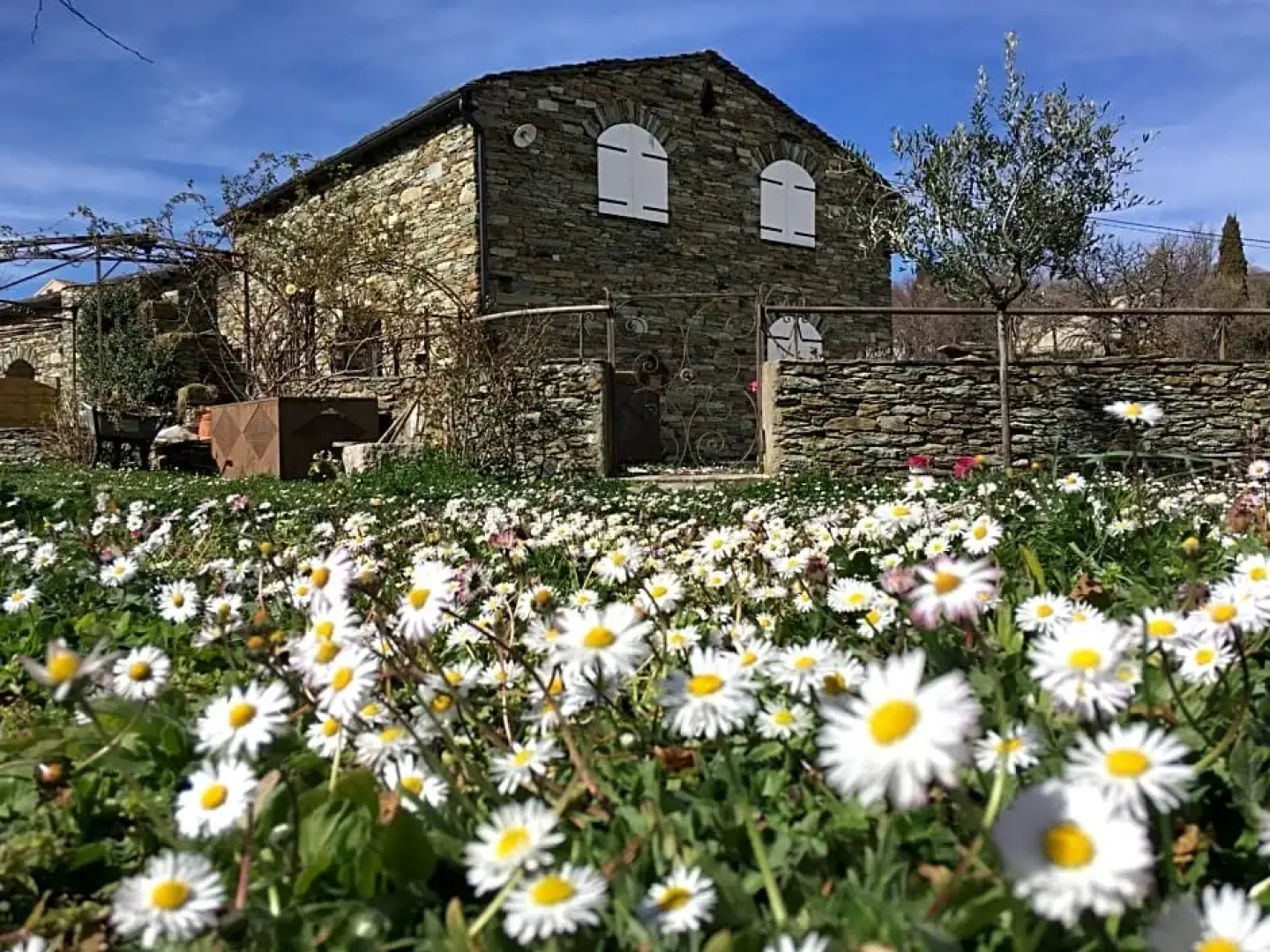 Chambres D'hotes Et Studios de Charme - a Mandria (Adults Only)