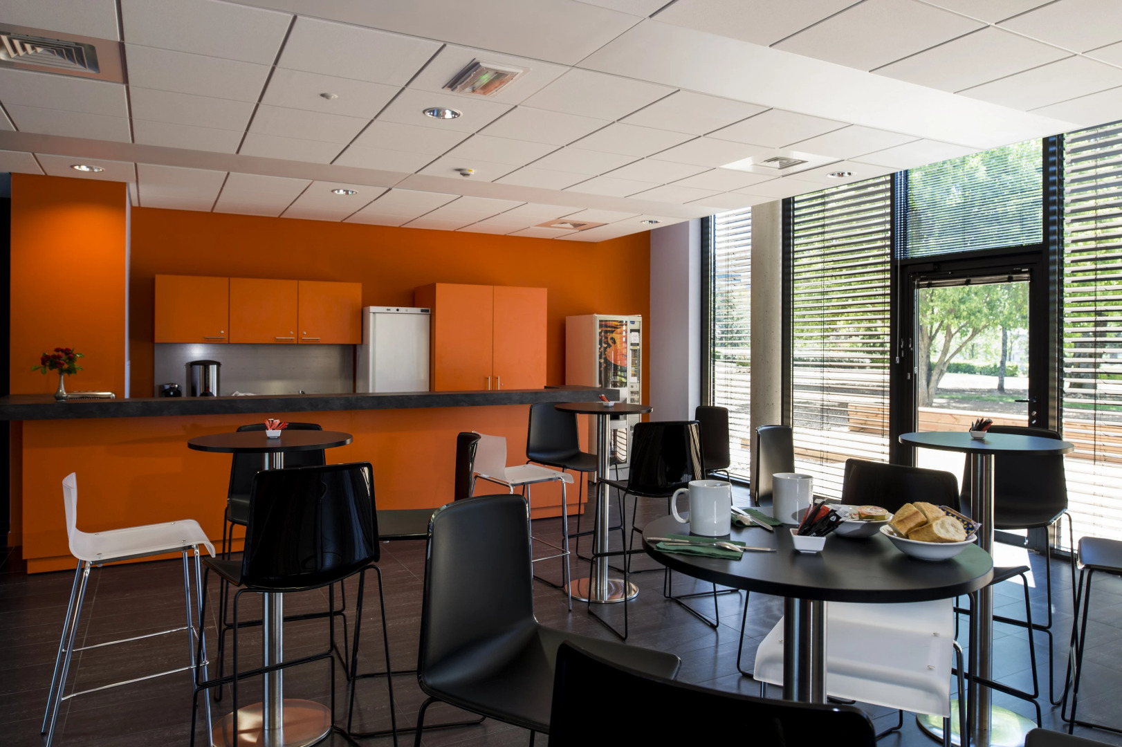 Adonis Dijon Maison Internationale