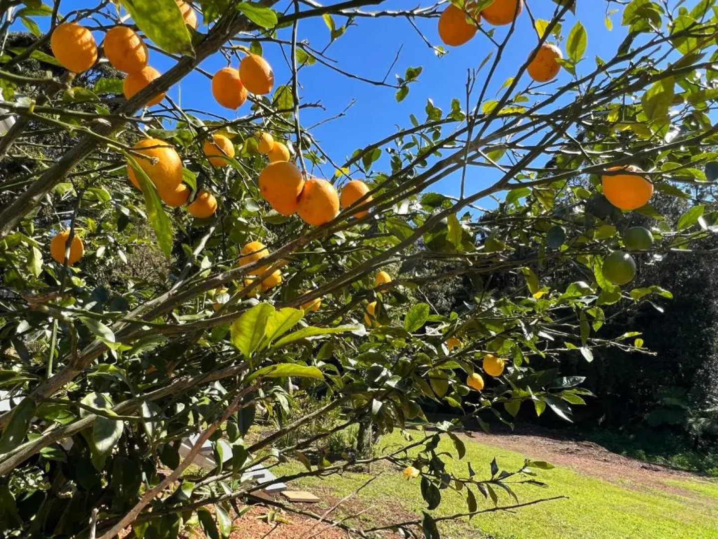 NEW Nordic Star - Cosy Home in Nature with Lake, near town