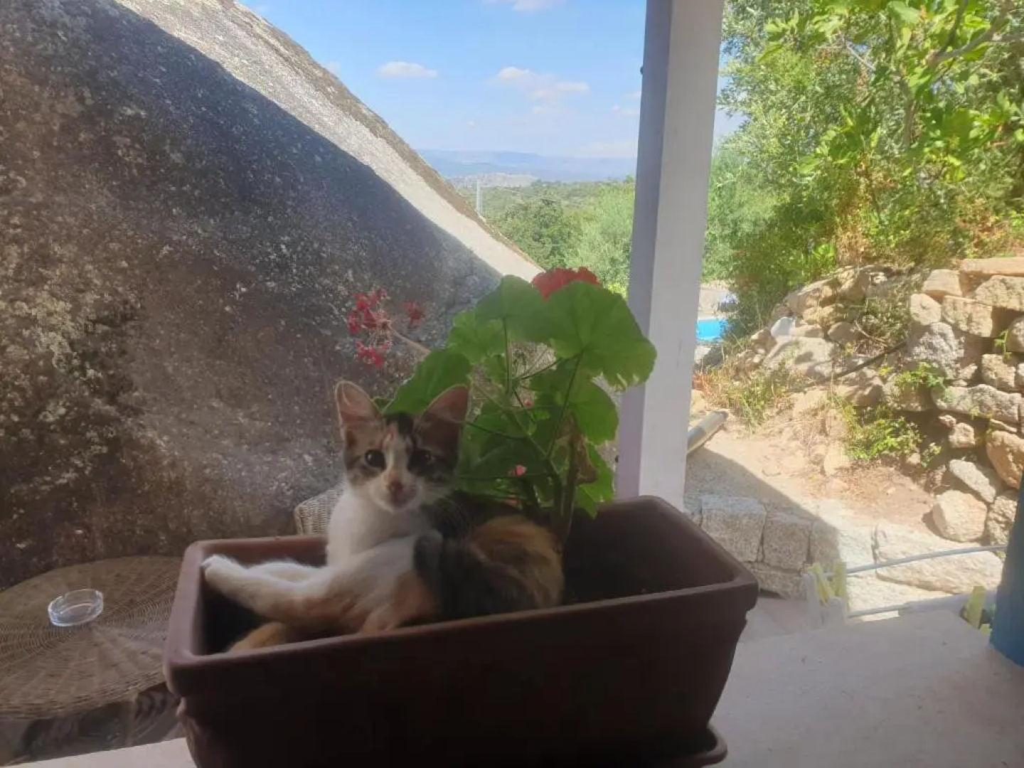 B&B Tiscali
