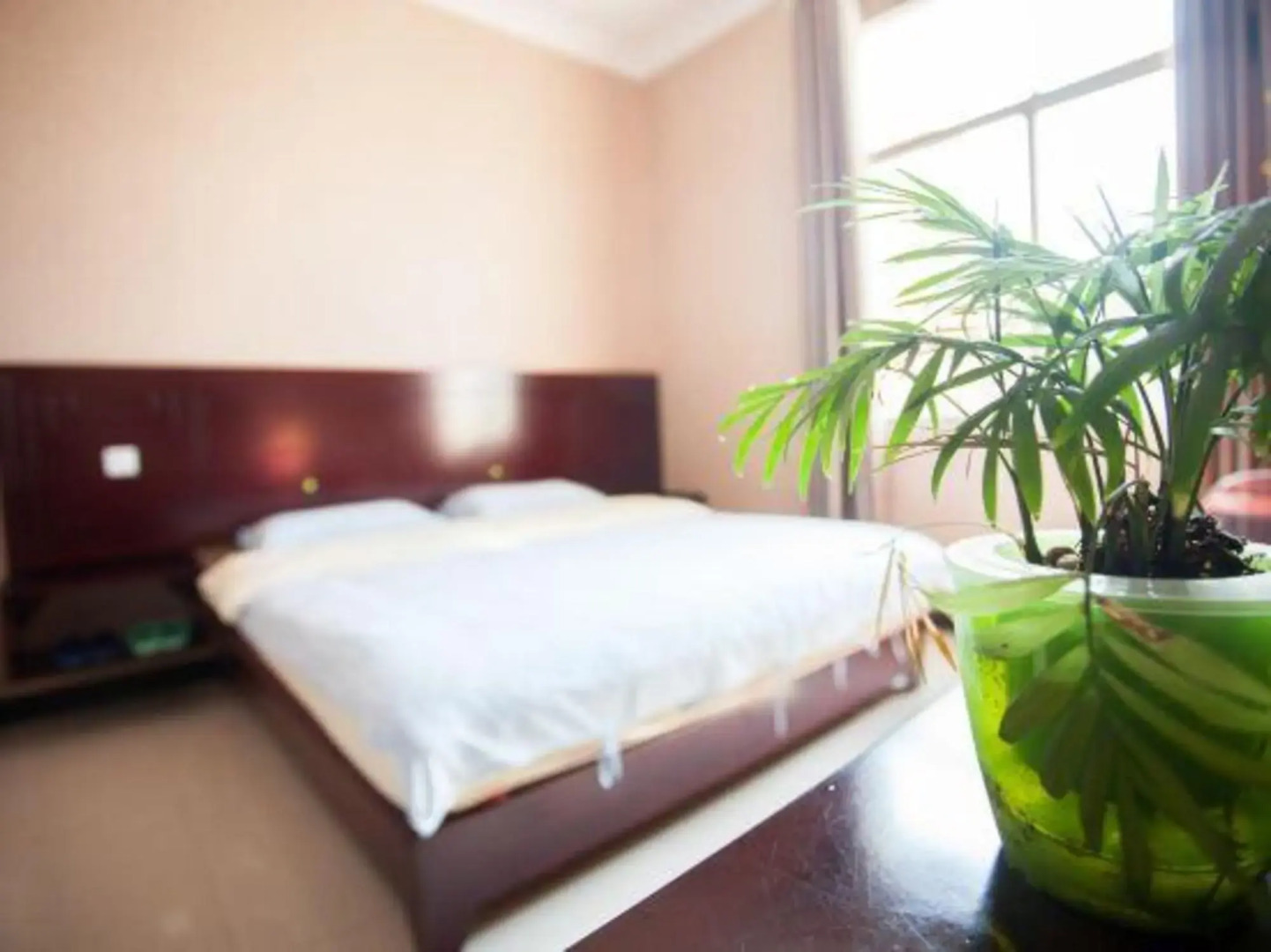 Nilv Flower Time International Youth Hostel