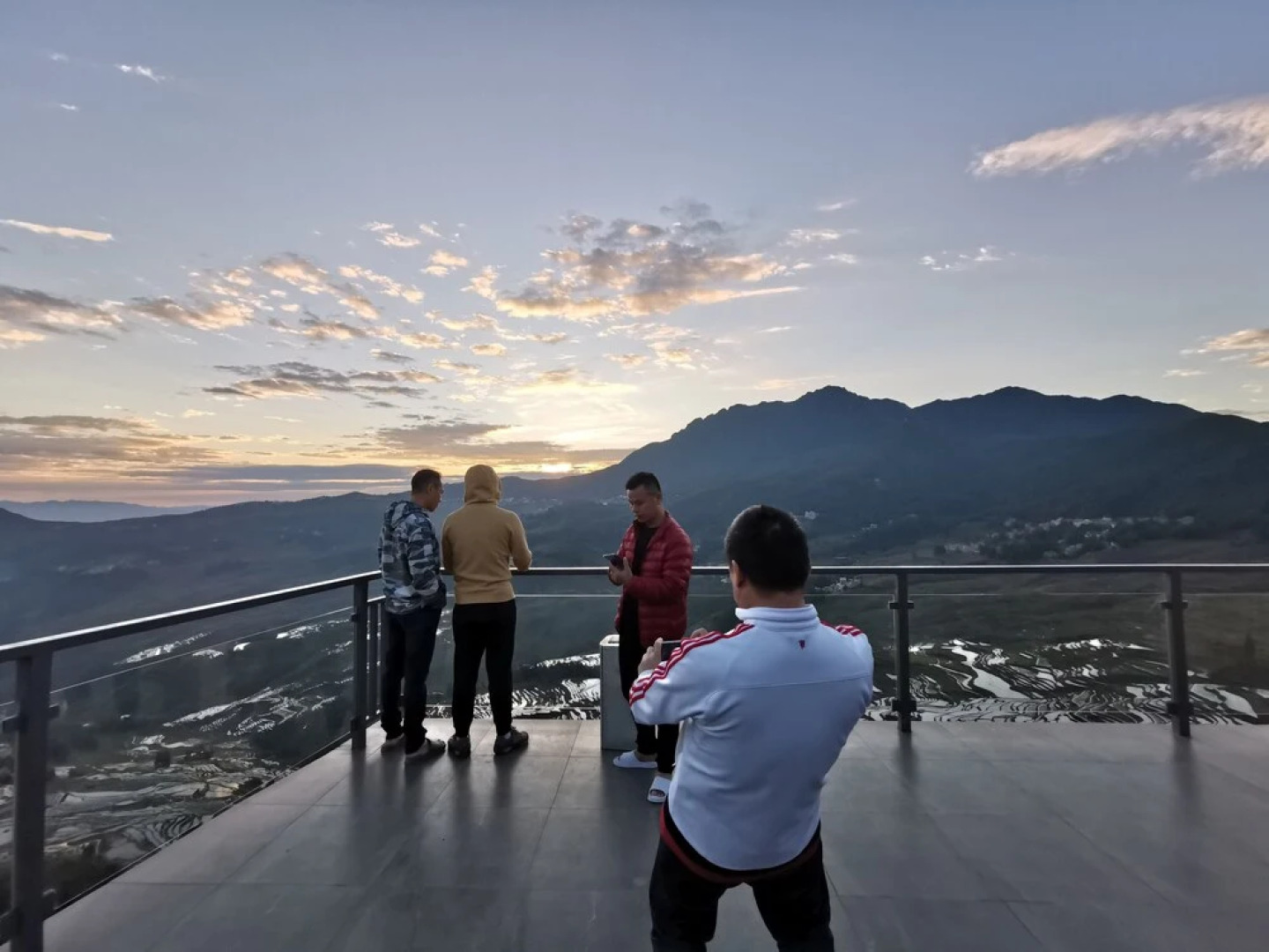 Plants and Flowers.YSTS