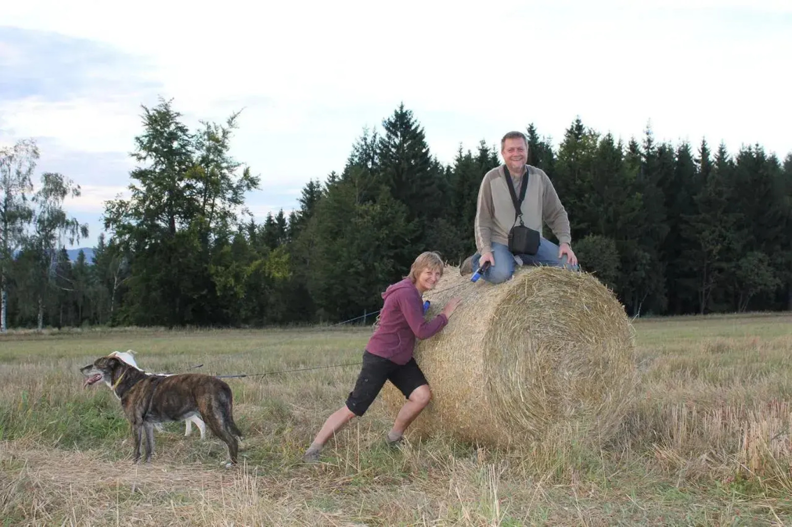 Słoneczna Zagroda - Sunny Ridge Farm