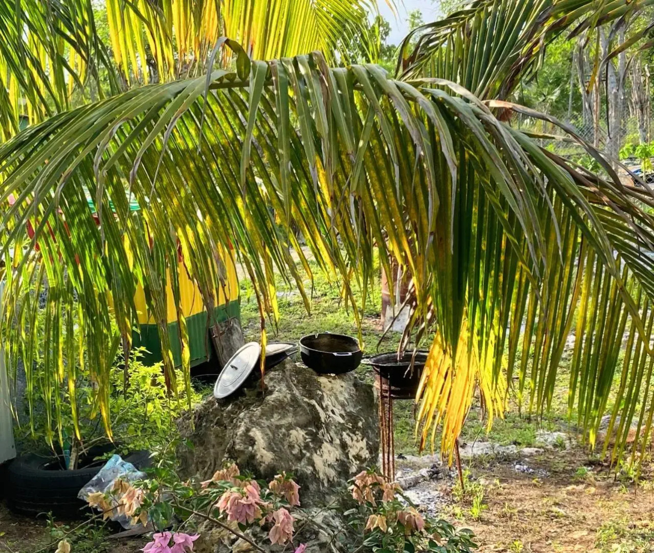 Judy House Backpacker Hostel