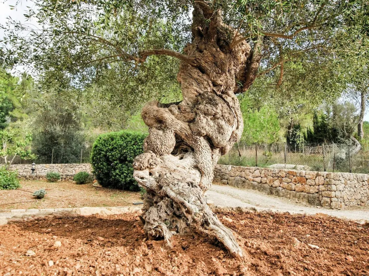 Spacious Mansion in Alaró With Swimming Pool