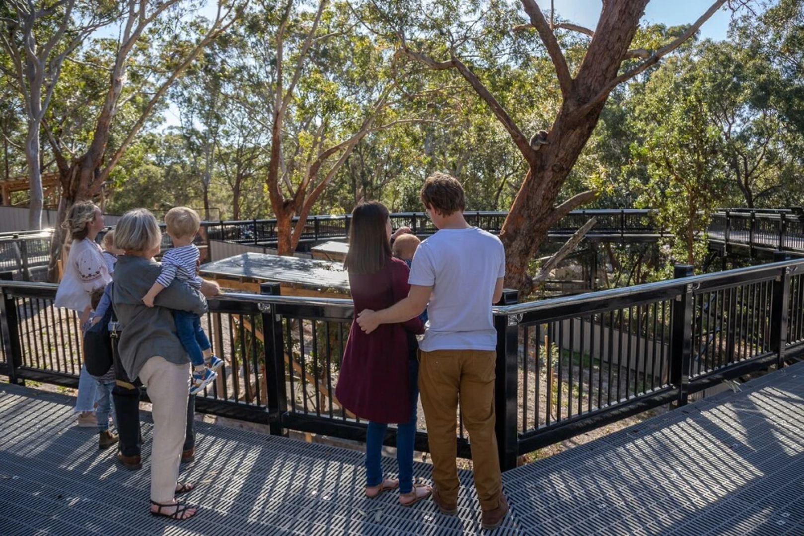 Port Stephens Koala Sanctuary
