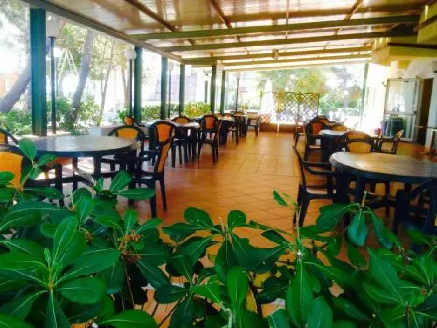 Playavillage Calipso