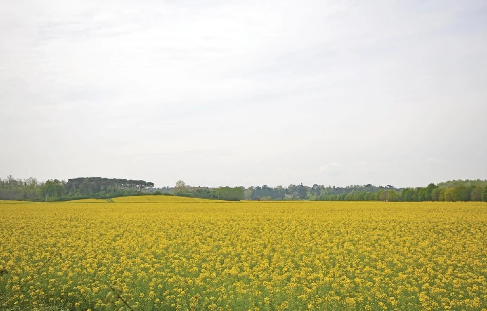 Awesome Home in Marti PI With Wifi and 3 Bedrooms