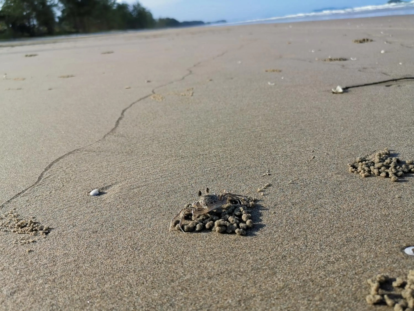 Samsuria Beach Resort & Residence