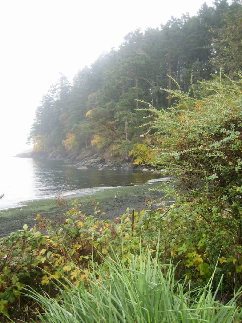 The Lodge at Weir's Beach