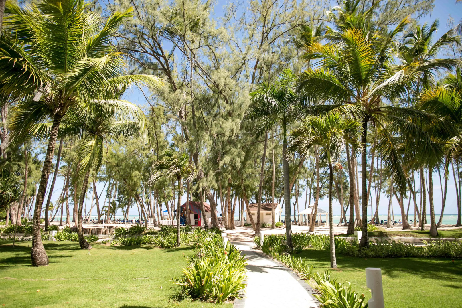 Vista Sol Punta Cana Beach Resort & Spa - All Inclusive