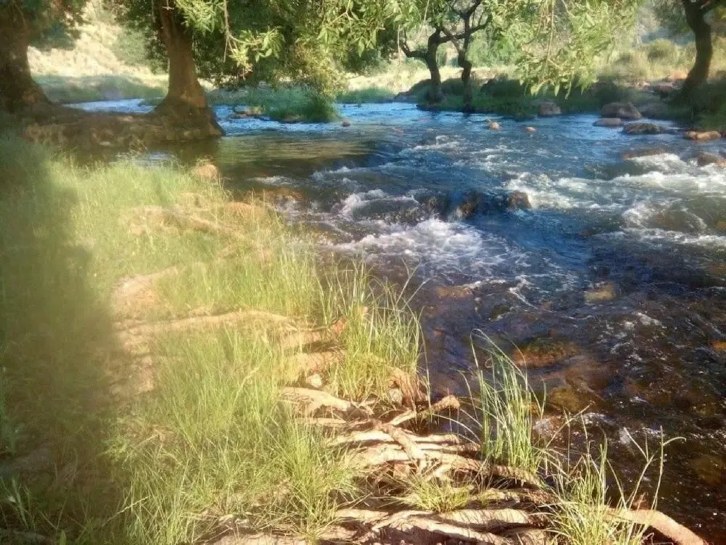 Casa Rural La Tia Nicolasa