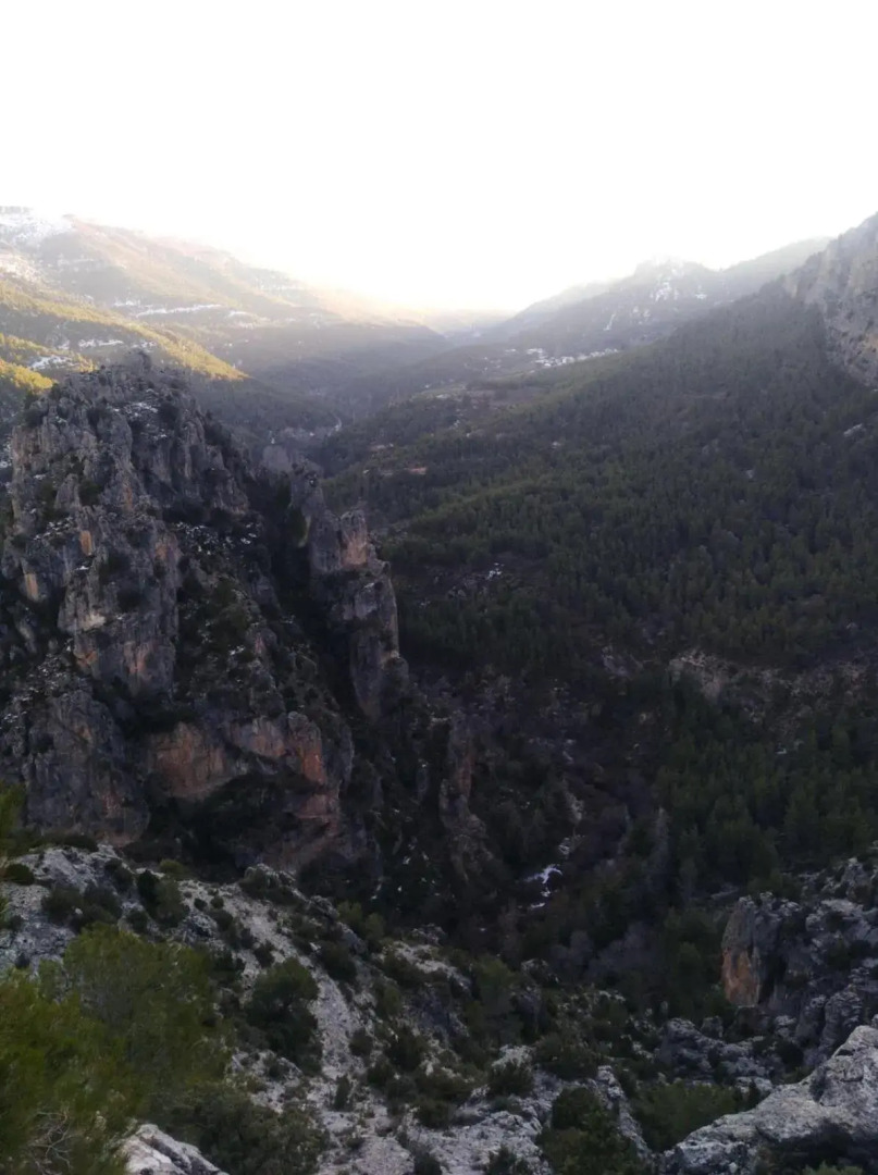 Vivienda Turística Rural Entrepinares