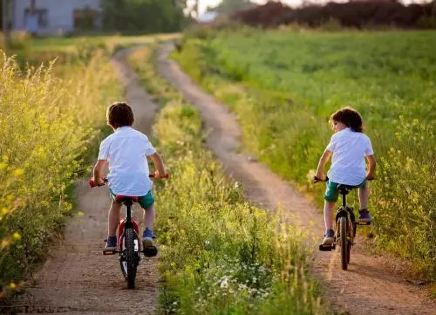 Ferienhaus Zirchow 2