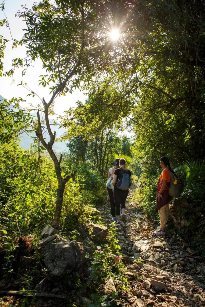 12 BHK Rustic hut in Dhaulsoot Village 3 km from Laxmijhula near Badrinath Road, Rishikesh, by GuestHouser (AE3B)