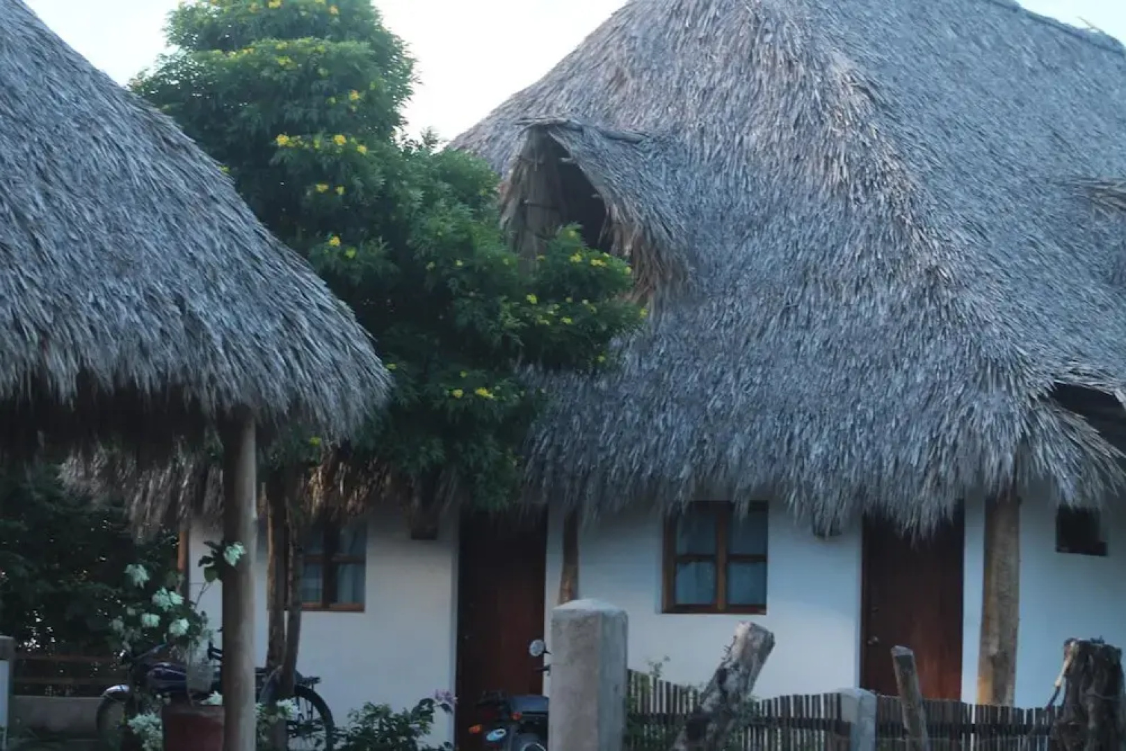 Wild Waves Surf-House