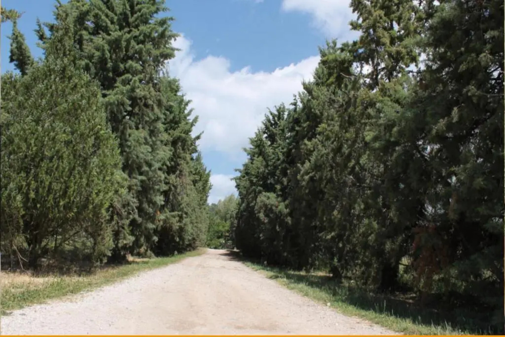 Granaio Biada In Fattoria Con Piscina