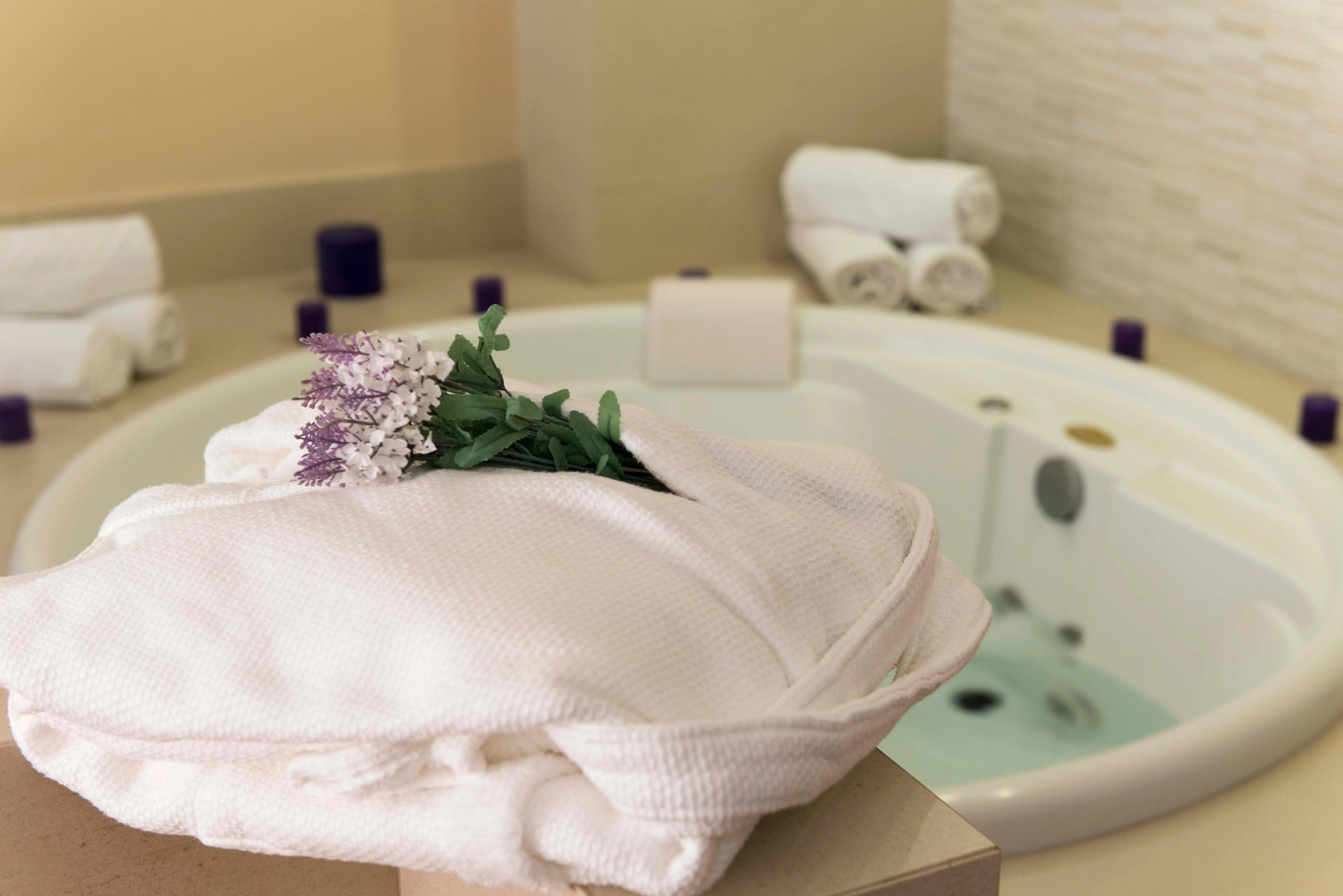 Holiday Inn Montevideo by IHG