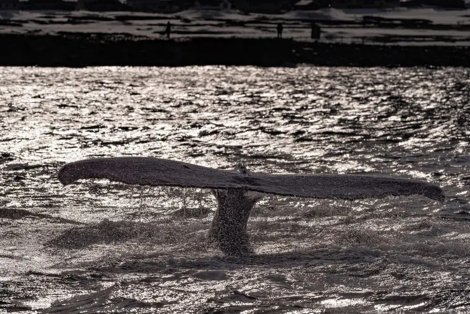 Ekker Island Arctic Lodge