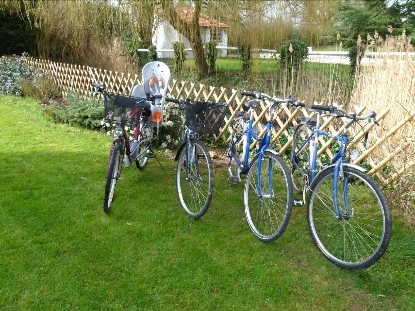 La Bulle des Vies Denses