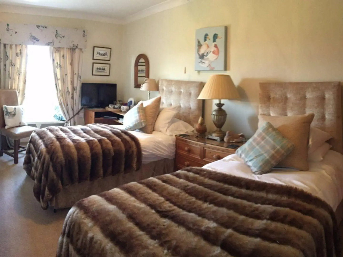 Cary Fitzpaine House