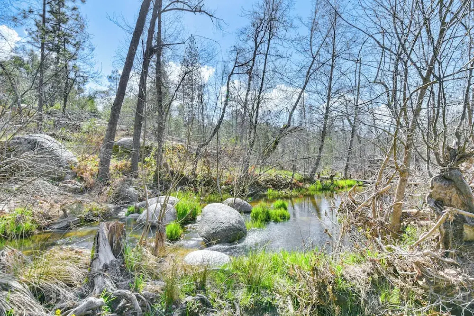 Waterfront Mariposa Hideaway: Hot Tub & Mtn Views!