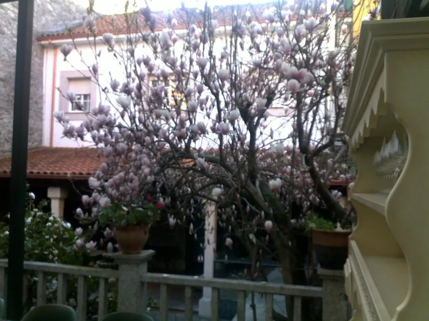 Mogay Hotel 